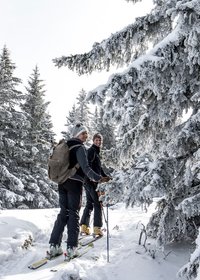 Winterwandern in der Region Murau-Kreischberg